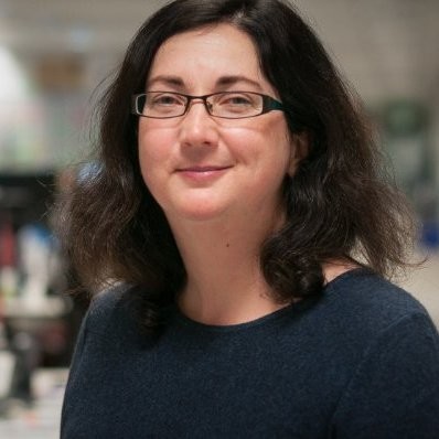 sarah-wells